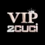 VIP2CUCI logo